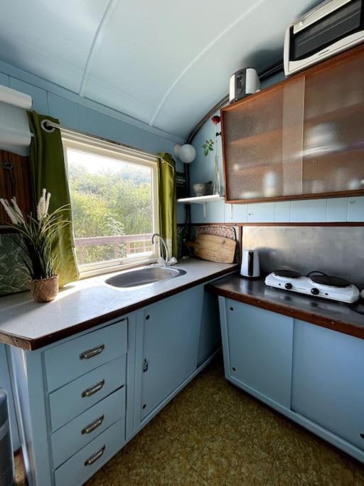 Ferienwohnung Fjordhytten. Rebuild Train Wagon From 1937. Odense Exterior foto
